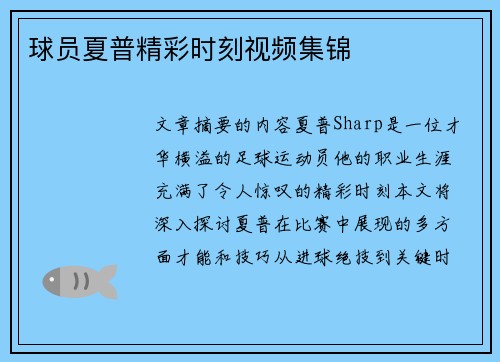 球员夏普精彩时刻视频集锦